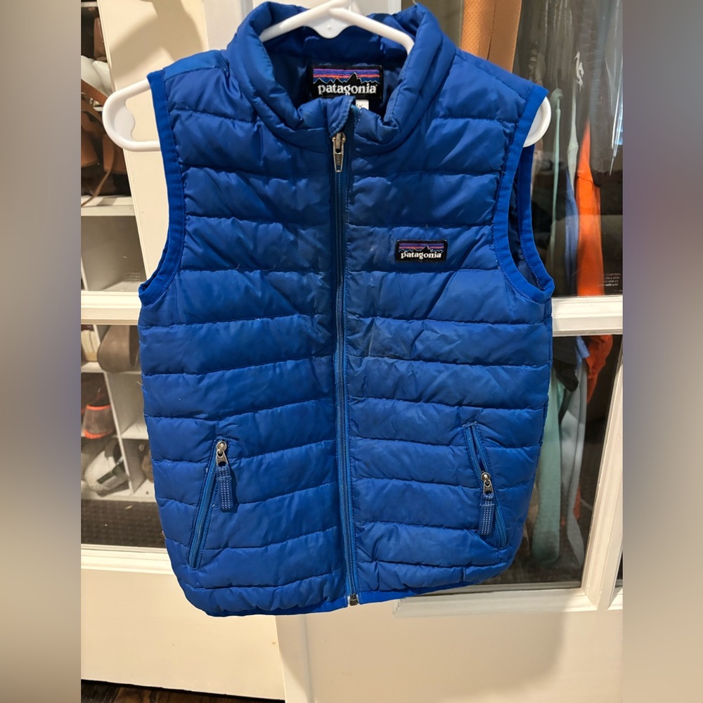 Patagonia Vibrant Blue Outerwear